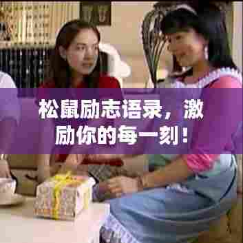 松鼠励志语录，激励你的每一刻！