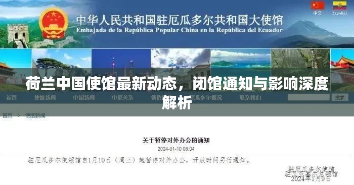 荷兰中国使馆最新动态，闭馆通知与影响深度解析
