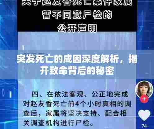 突发死亡的成因深度解析，揭开致命背后的秘密