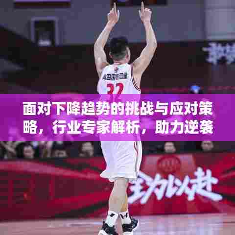 面对下降趋势的挑战与应对策略，行业专家解析，助力逆袭翻盘！