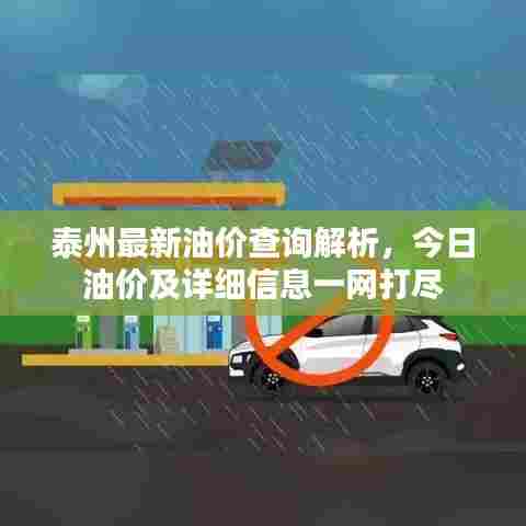 泰州最新油价查询解析，今日油价及详细信息一网打尽