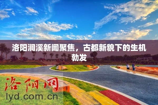 洛阳涧溪新闻聚焦，古都新貌下的生机勃发