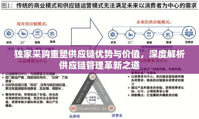 独家采购重塑供应链优势与价值，深度解析供应链管理革新之道