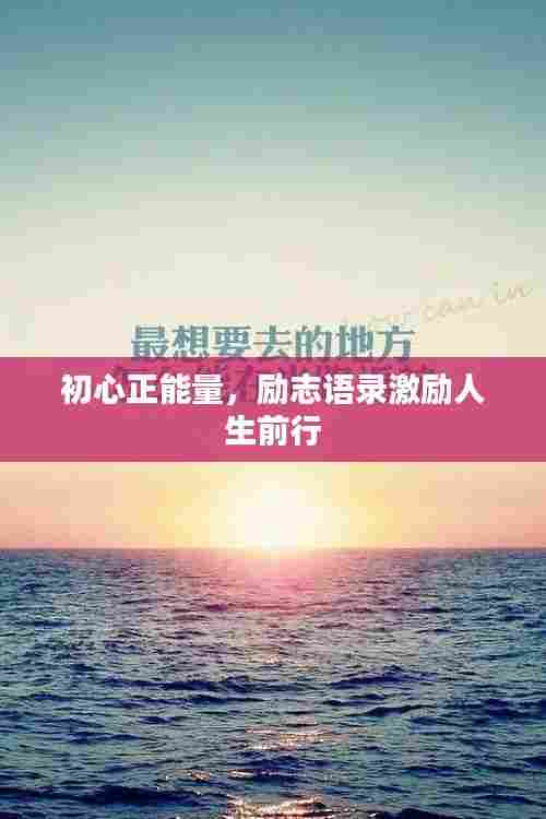 沉灶产蛙 第5页