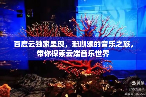 百度云独家呈现，珊瑚颂的音乐之旅，带你探索云端音乐世界