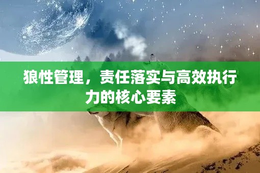 狼性管理，责任落实与高效执行力的核心要素