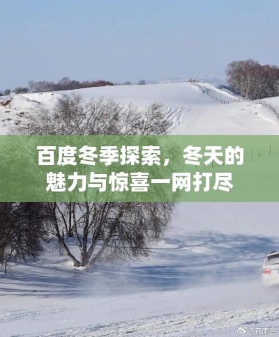 百度冬季探索，冬天的魅力与惊喜一网打尽