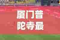 厦门普陀寺最新动态，今日头条新闻速递