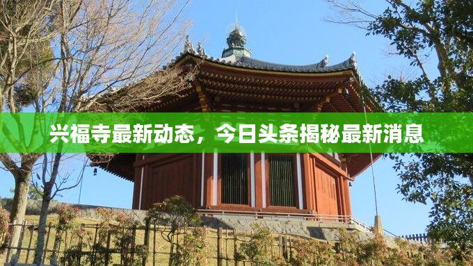 兴福寺最新动态，今日头条揭秘最新消息