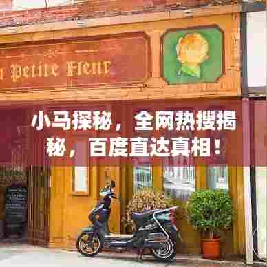 小马探秘，全网热搜揭秘，百度直达真相！
