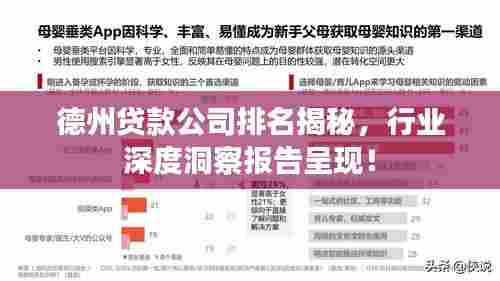 德州贷款公司排名揭秘，行业深度洞察报告呈现！