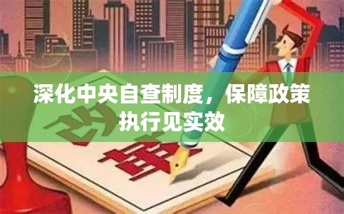 深化中央自查制度，保障政策执行见实效