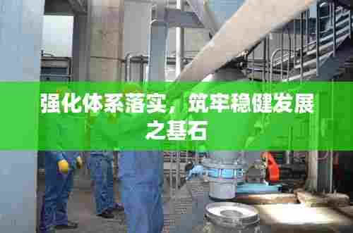 强化体系落实，筑牢稳健发展之基石