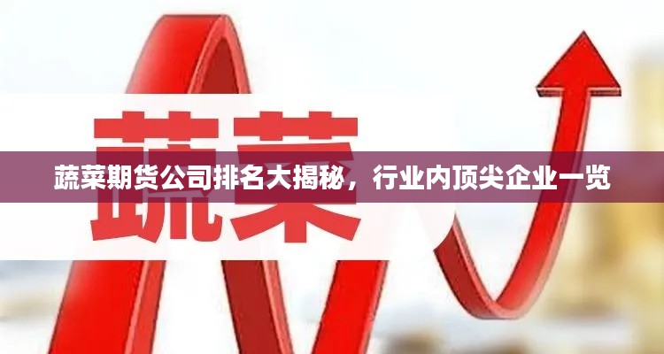 蔬菜期货公司排名大揭秘，行业内顶尖企业一览