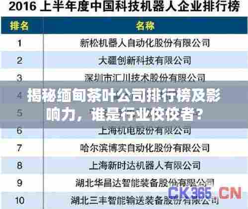 揭秘缅甸茶叶公司排行榜及影响力，谁是行业佼佼者？