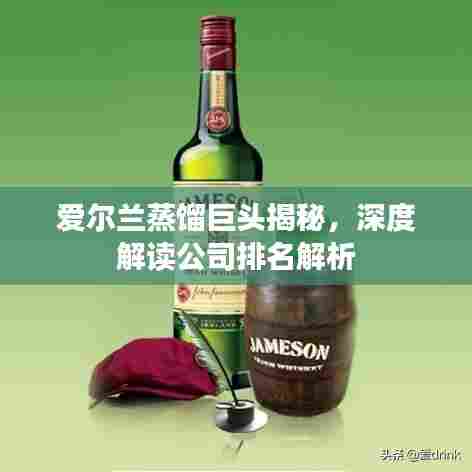 爱尔兰蒸馏巨头揭秘，深度解读公司排名解析