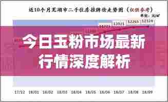 今日玉粉市场最新行情深度解析