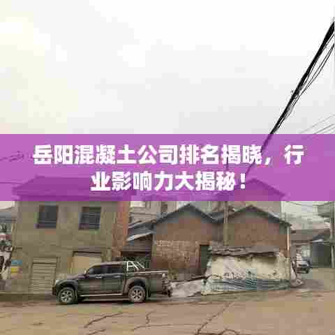 岳阳混凝土公司排名揭晓，行业影响力大揭秘！