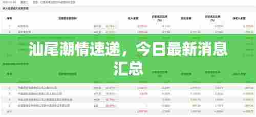 汕尾潮情速递，今日最新消息汇总