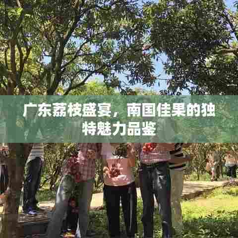 羊肠鸟道 第5页