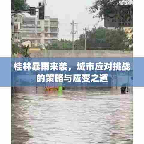 桂林暴雨来袭，城市应对挑战的策略与应变之道