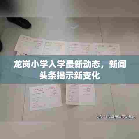 龙岗小学入学最新动态，新闻头条揭示新变化
