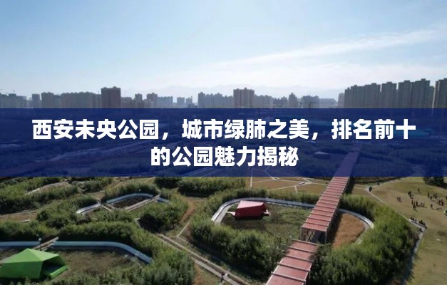 西安未央公园，城市绿肺之美，排名前十的公园魅力揭秘