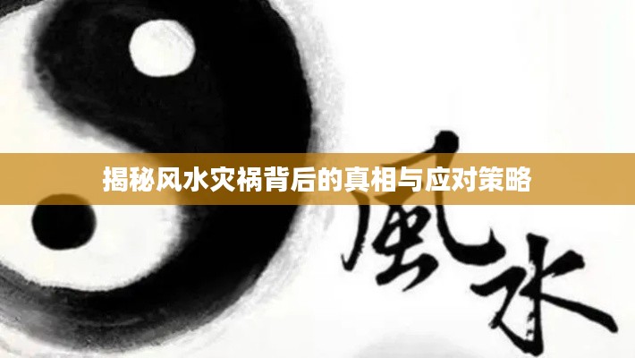 贵冠履轻头足 第5页