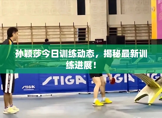 孙颖莎今日训练动态，揭秘最新训练进展！