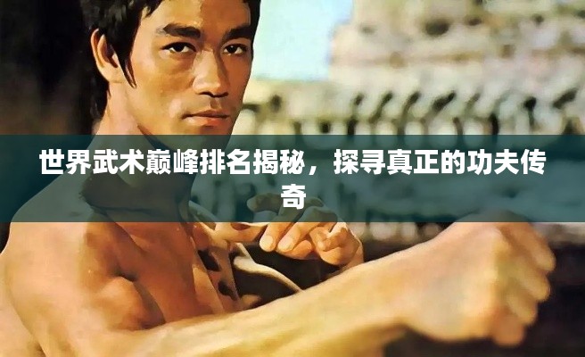 世界武术巅峰排名揭秘，探寻真正的功夫传奇
