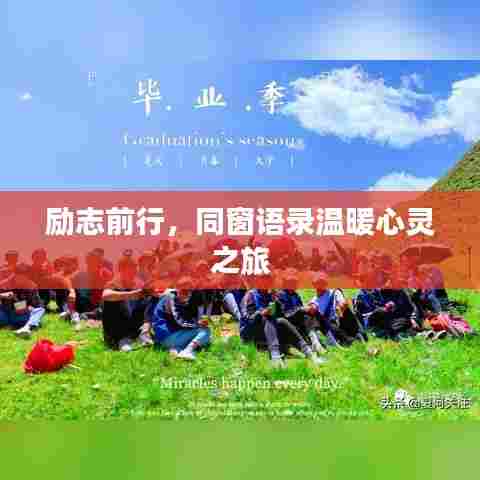励志前行，同窗语录温暖心灵之旅