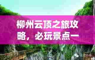 柳州云顶之旅攻略，必玩景点一网打尽！