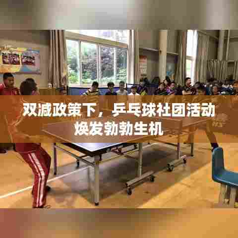 双减政策下，乒乓球社团活动焕发勃勃生机
