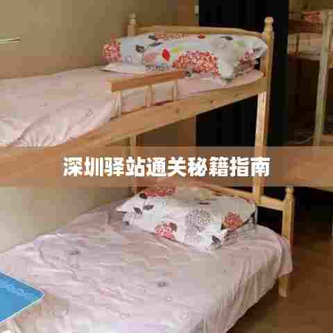 深圳驿站通关秘籍指南