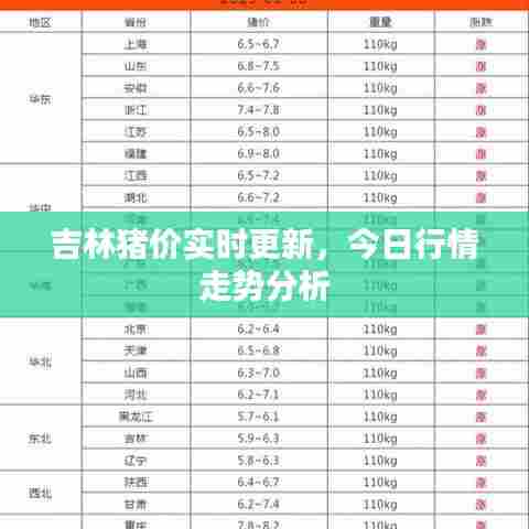 吉林猪价实时更新，今日行情走势分析