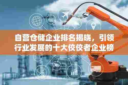 自营仓储企业排名揭晓，引领行业发展的十大佼佼者企业榜单