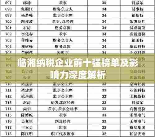 临湘纳税企业前十强榜单及影响力深度解析