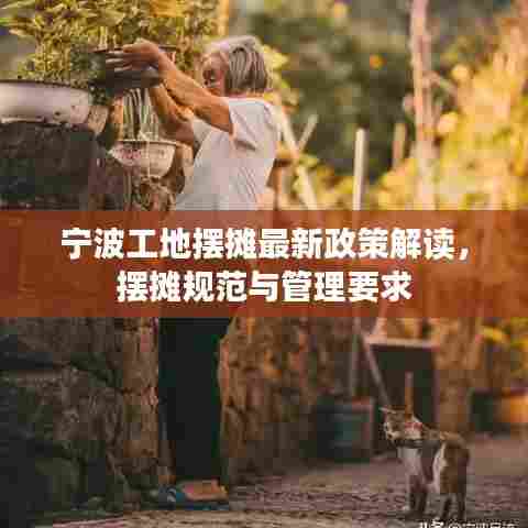 宁波工地摆摊最新政策解读，摆摊规范与管理要求