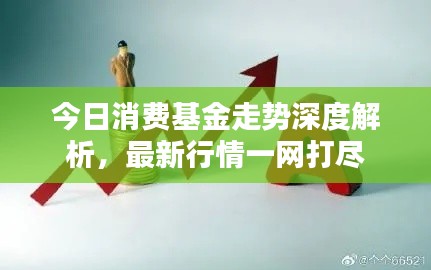 今日消费基金走势深度解析，最新行情一网打尽