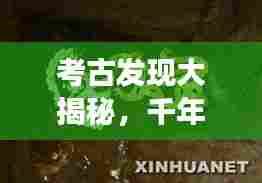 考古发现大揭秘，千年文明神秘面纱下的故事专题采访