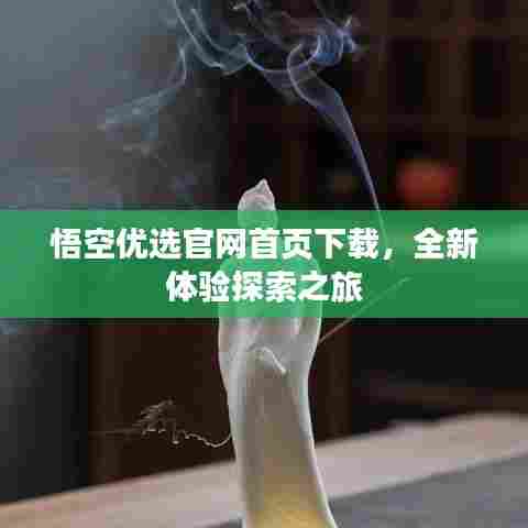 悟空优选官网首页下载，全新体验探索之旅