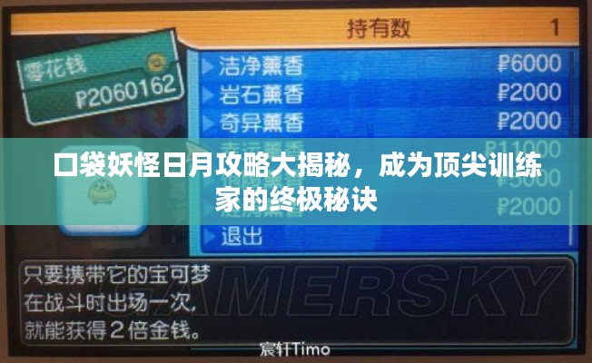 口袋妖怪日月攻略大揭秘，成为顶尖训练家的终极秘诀