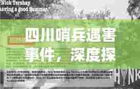四川哨兵遇害事件，深度探究事件真相与背后故事