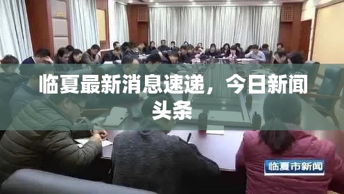 临夏最新消息速递，今日新闻头条