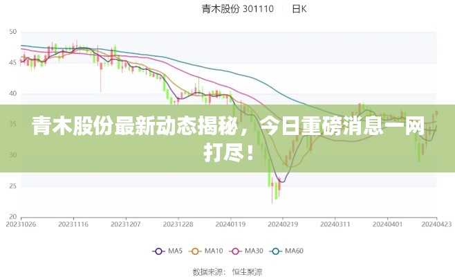 青木股份最新动态揭秘，今日重磅消息一网打尽！