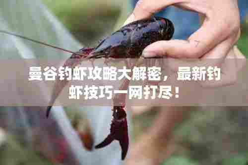 曼谷钓虾攻略大解密，最新钓虾技巧一网打尽！