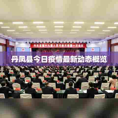 丹凤县今日疫情最新动态概览