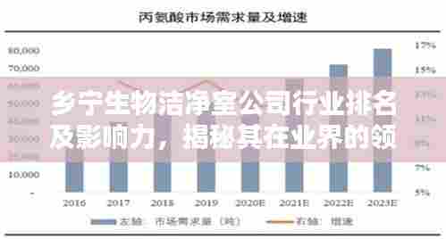 乡宁生物洁净室公司行业排名及影响力，揭秘其在业界的领先地位