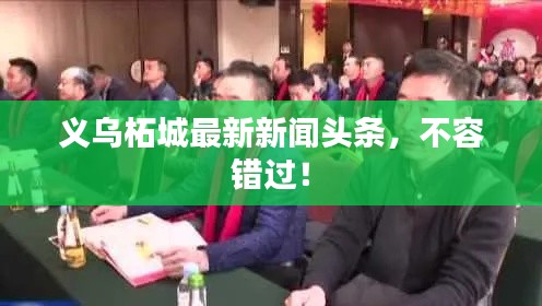 义乌柘城最新新闻头条，不容错过！