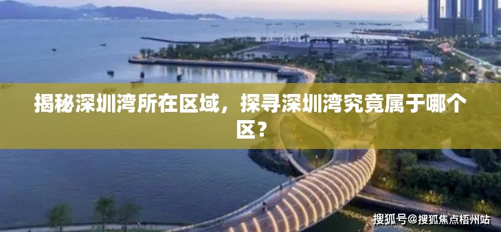 揭秘深圳湾所在区域，探寻深圳湾究竟属于哪个区？